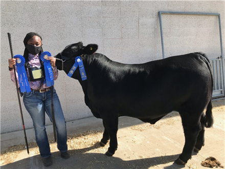 FFA Showcase 